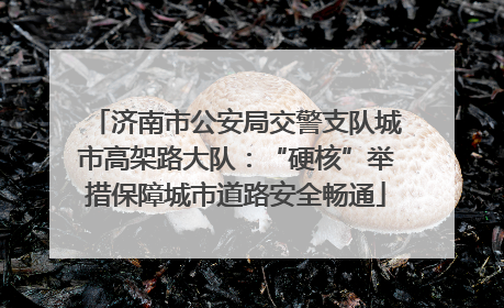 济南市公安局交警支队城市高架路大队：“硬核”举措保障城市道路安全畅通