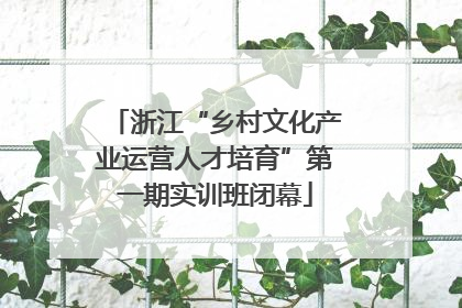 浙江“乡村文化产业运营人才培育”第一期实训班闭幕