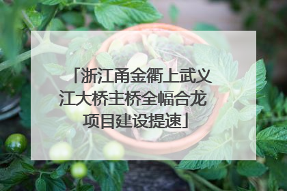 浙江甬金衢上武义江大桥主桥全幅合龙 项目建设提速
