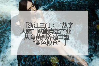 浙江三门：“数字大脑”赋能青蟹产业 从育苗到养殖重塑“蓝色粮仓”