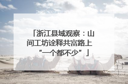 浙江县域观察：山间工坊诠释共富路上“一个都不少”