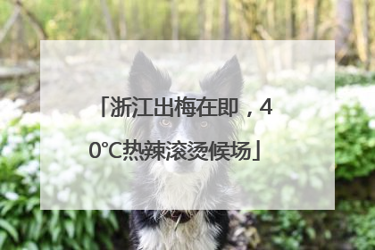 浙江出梅在即，40℃热辣滚烫候场