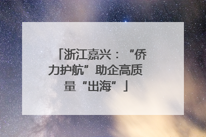 浙江嘉兴：“侨力护航”助企高质量“出海”