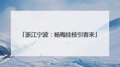 浙江宁波：杨梅挂枝引客来