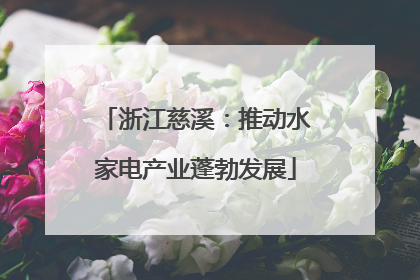 浙江慈溪：推动水家电产业蓬勃发展
