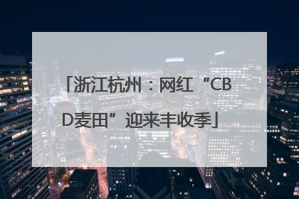 浙江杭州：网红“CBD麦田”迎来丰收季