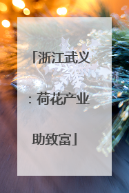 浙江武义：荷花产业助致富