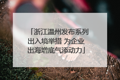 浙江温州发布系列出入境举措 为企业出海增底气添动力