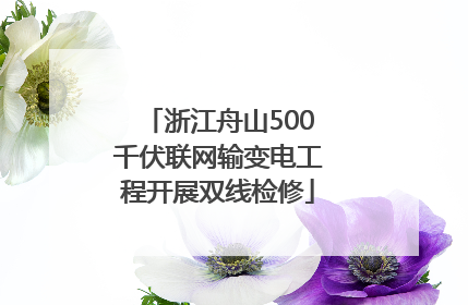浙江舟山500千伏联网输变电工程开展双线检修