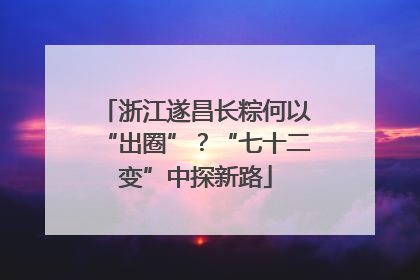 浙江遂昌长粽何以“出圈”？“七十二变”中探新路