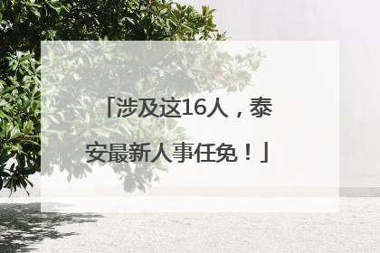 涉及这16人，泰安最新人事任免！