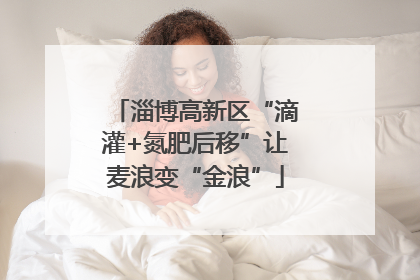 淄博高新区“滴灌+氮肥后移”让麦浪变“金浪”
