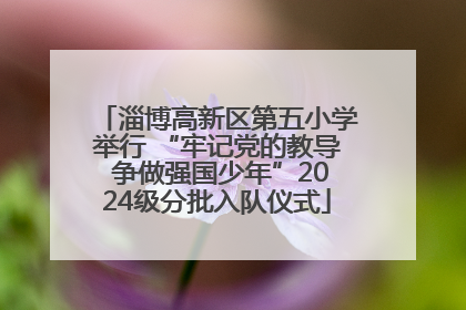 淄博高新区第五小学举行 “牢记党的教导 争做强国少年”2024级分批入队仪式