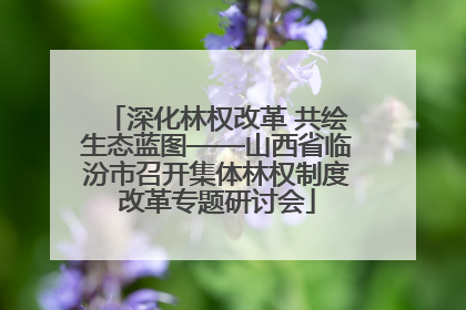 深化林权改革 共绘生态蓝图——山西省临汾市召开集体林权制度改革专题研讨会