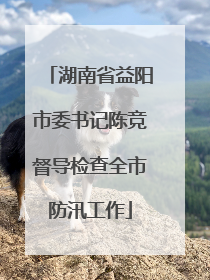 湖南省益阳市委书记陈竞督导检查全市防汛工作