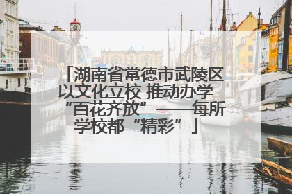 湖南省常德市武陵区以文化立校 推动办学“百花齐放”——每所学校都“精彩”