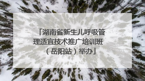 湖南省新生儿呼吸管理适宜技术推广培训班（岳阳站）举办