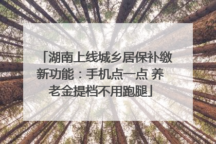 湖南上线城乡居保补缴新功能：手机点一点 养老金提档不用跑腿
