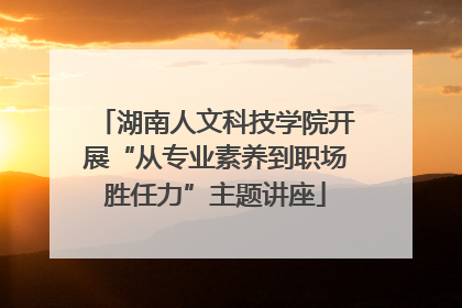湖南人文科技学院开展“从专业素养到职场胜任力”主题讲座