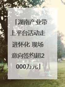 湖南产业带上平台活动走进怀化 现场意向签约超2000万元