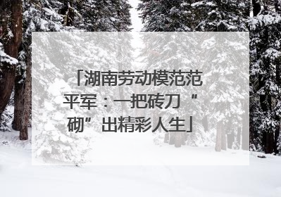 湖南劳动模范范平军：一把砖刀“砌”出精彩人生