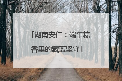 湖南安仁：端午粽香里的藏蓝坚守