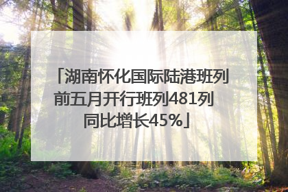 湖南怀化国际陆港班列前五月开行班列481列 同比增长45%