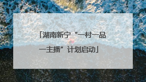 湖南新宁“一村一品一主播”计划启动