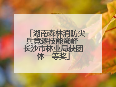 湖南森林消防尖兵竞逐技能巅峰 长沙市林业局获团体一等奖