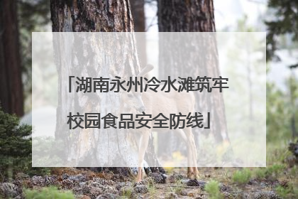 湖南永州冷水滩筑牢校园食品安全防线