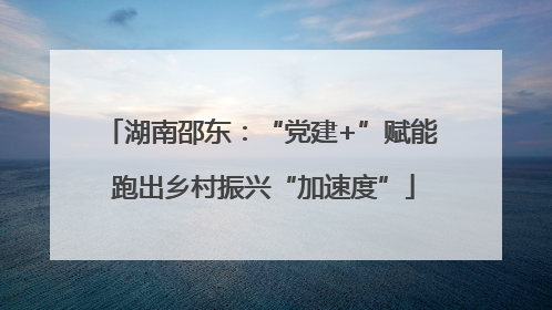 湖南邵东：“党建+”赋能 跑出乡村振兴“加速度”