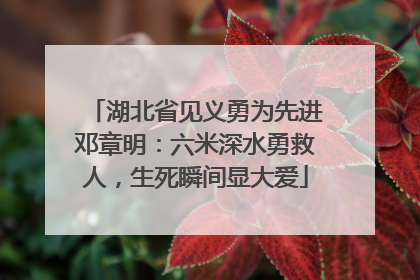 湖北省见义勇为先进邓章明：六米深水勇救人，生死瞬间显大爱