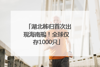 湖北秭归首次出现海南鳽！全球仅存1000只