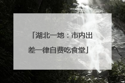 湖北一地：市内出差一律自费吃食堂