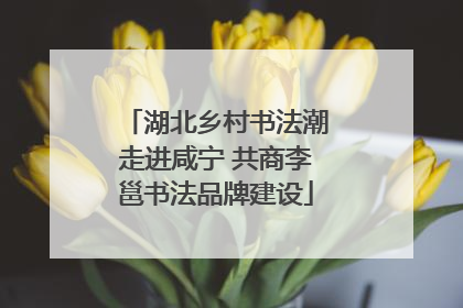 湖北乡村书法潮走进咸宁 共商李邕书法品牌建设