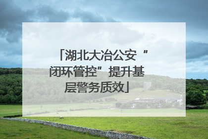 湖北大冶公安“闭环管控”提升基层警务质效