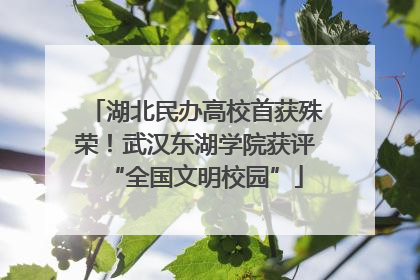 湖北民办高校首获殊荣！武汉东湖学院获评“全国文明校园”