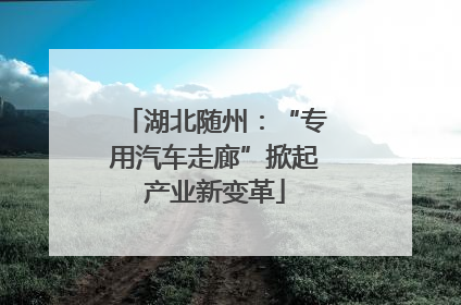 湖北随州：“专用汽车走廊”掀起产业新变革