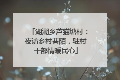 湖潮乡芦猫塘村：夜访乡村巷陌，驻村干部情暖民心