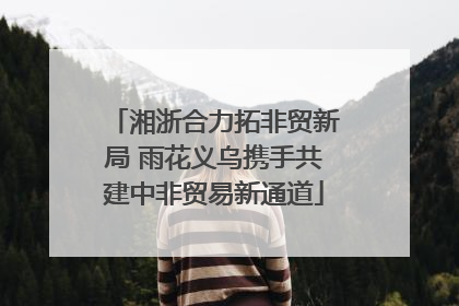 湘浙合力拓非贸新局 雨花义乌携手共建中非贸易新通道