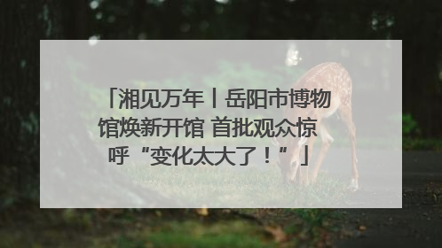 湘见万年丨岳阳市博物馆焕新开馆 首批观众惊呼“变化太大了！”