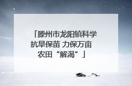 滕州市龙阳镇科学抗旱保苗 力保万亩农田“解渴”