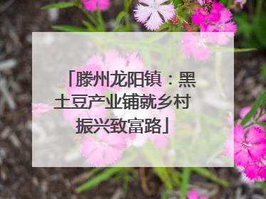 滕州龙阳镇：黑土豆产业铺就乡村振兴致富路