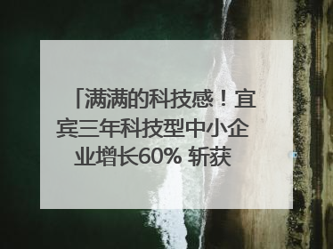 满满的科技感！宜宾三年科技型中小企业增长60% 斩获部省科技奖6项｜您牵挂的四川