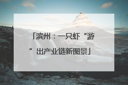 滨州：一只虾“游”出产业链新图景