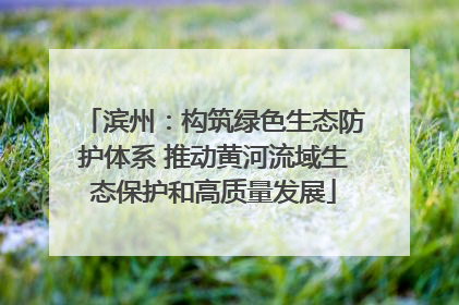 滨州：构筑绿色生态防护体系 推动黄河流域生态保护和高质量发展