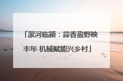 漯河临颍：蒜香盈野映丰年 机械赋能兴乡村