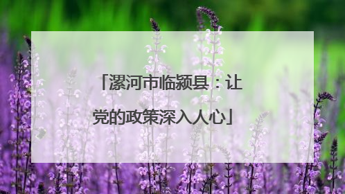 漯河市临颍县：让党的政策深入人心