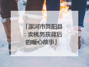 漯河市舞阳县：卖桃男孩背后的暖心故事