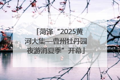 菏泽“2025黄河大集—曹州牡丹园夜游消夏季”开幕